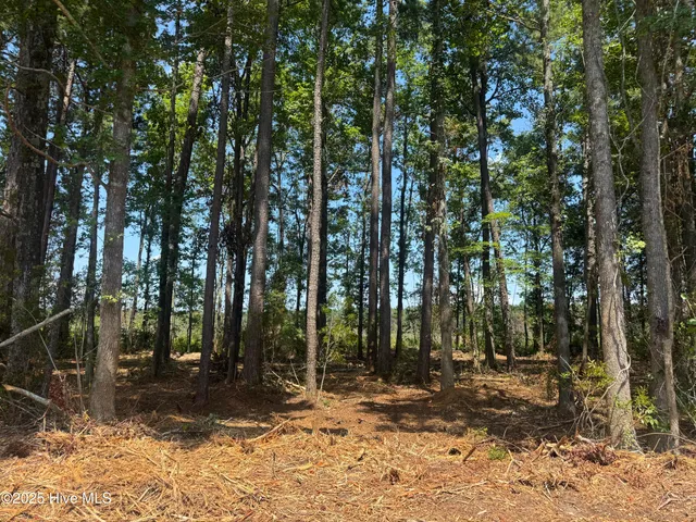 $19,900 | 4102 Swamp Fox Highway West, Tabor City, NC 28463