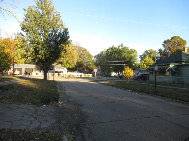 a view of road with large trees