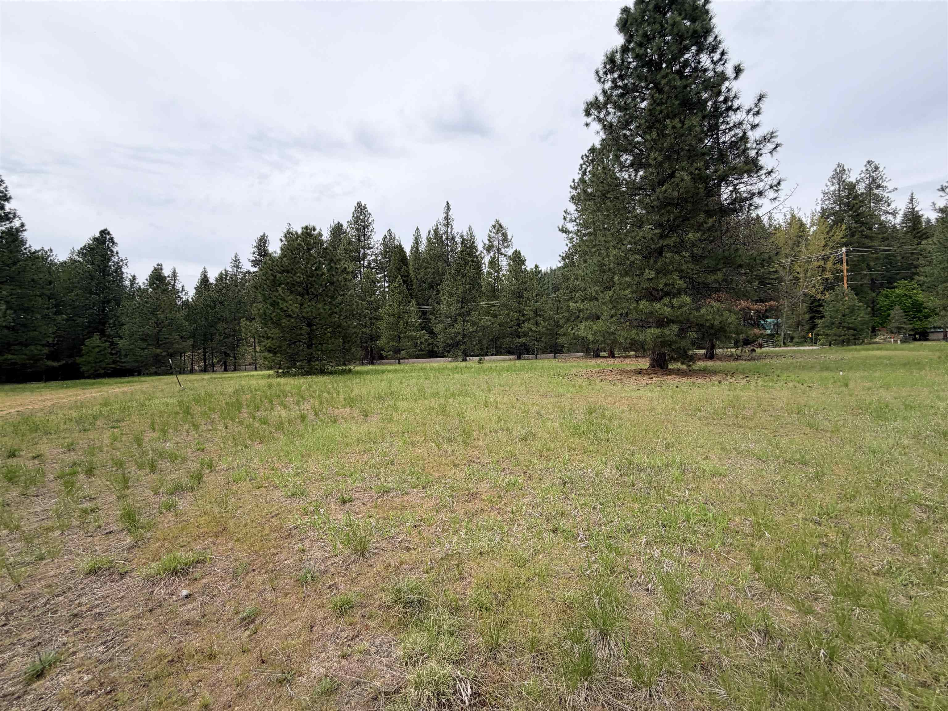 14451 LeClerc Road North Cusick, WA 99119 - Photo 33 of 33