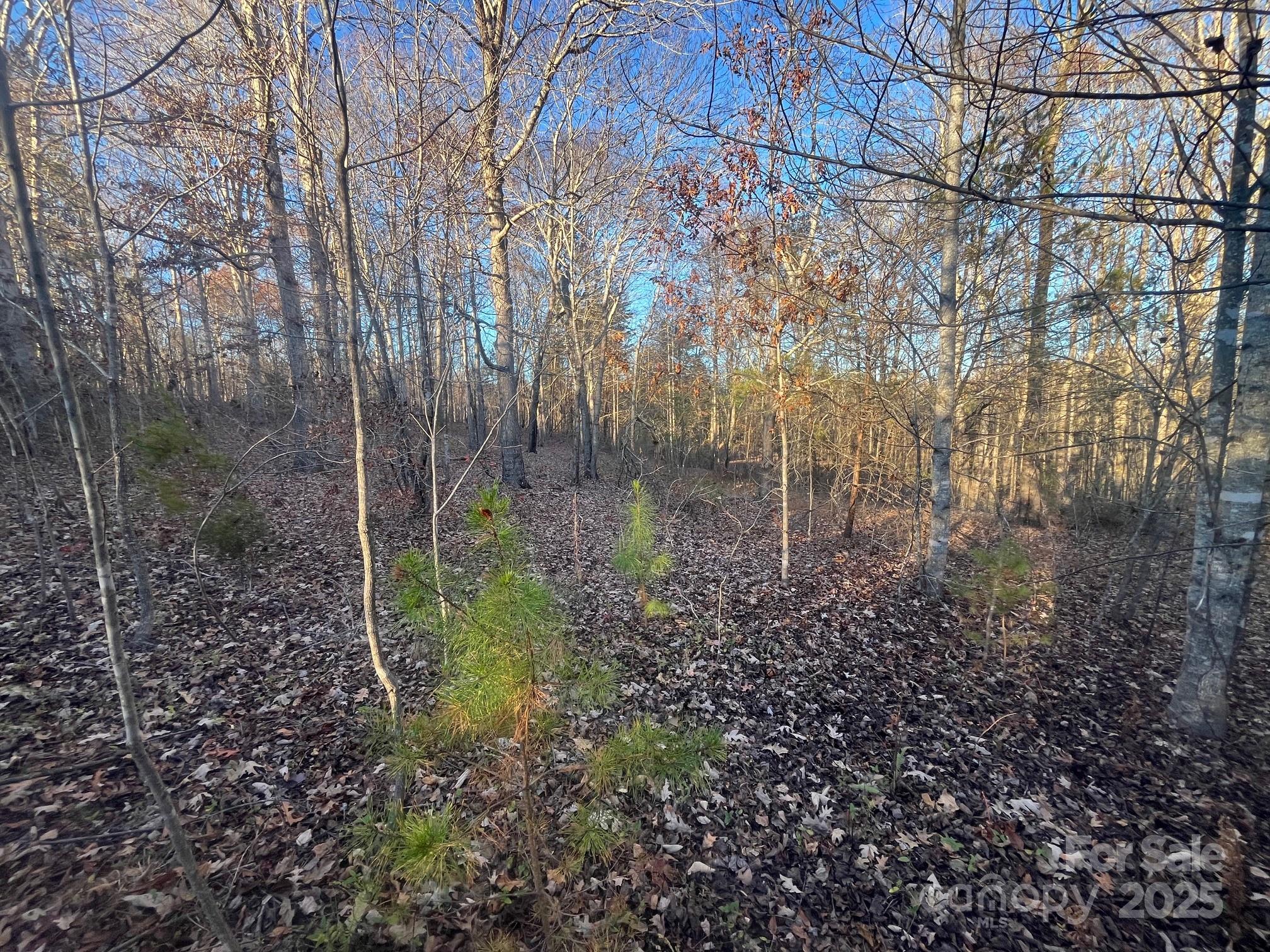 0 Pinnacle Church Road Nebo, NC 28761 - Photo 3 of 10 a view of a forest