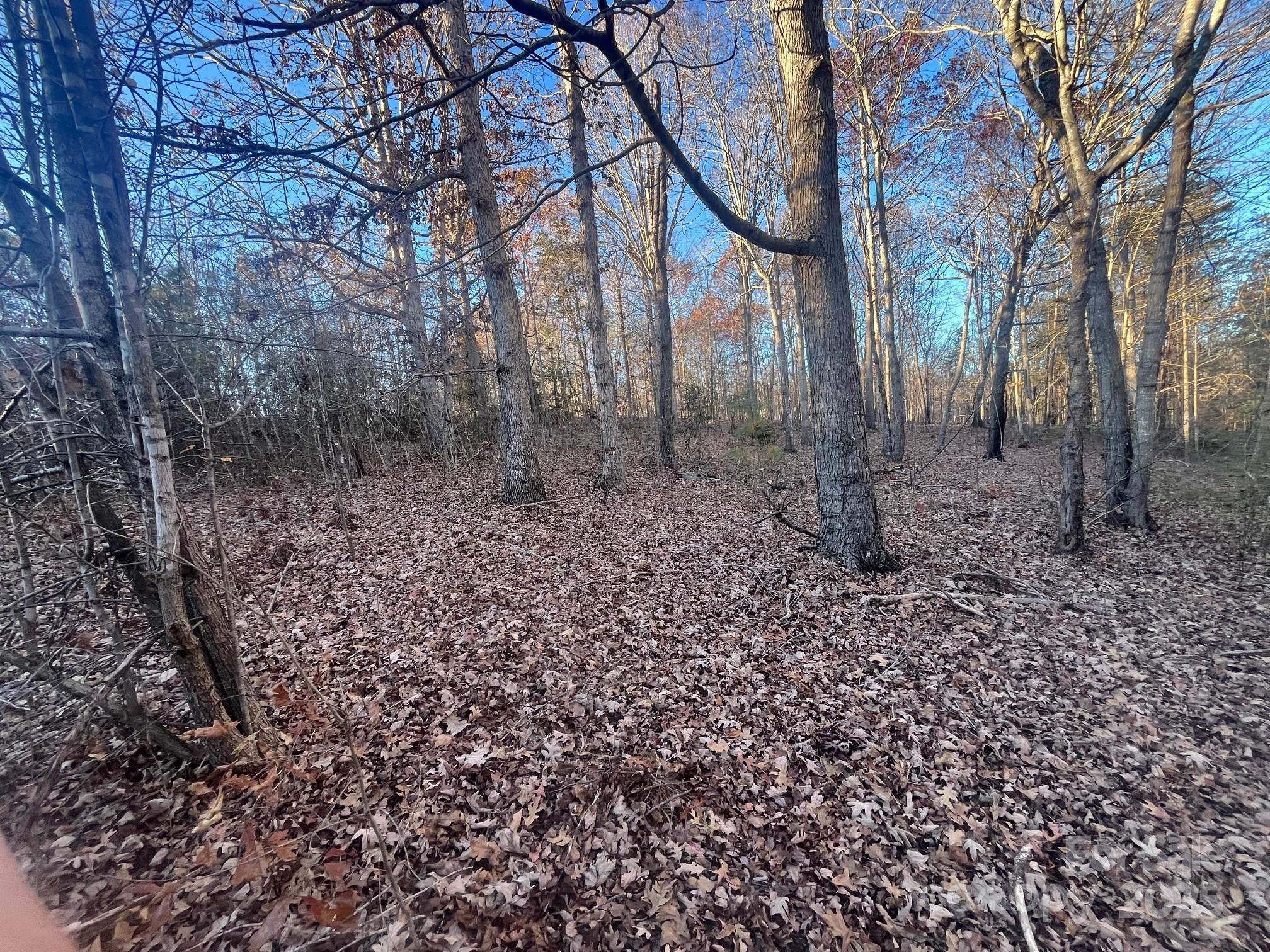 0 Pinnacle Church Road Nebo, NC 28761 - Photo 5 of 10 a backyard of a house with lots of green space