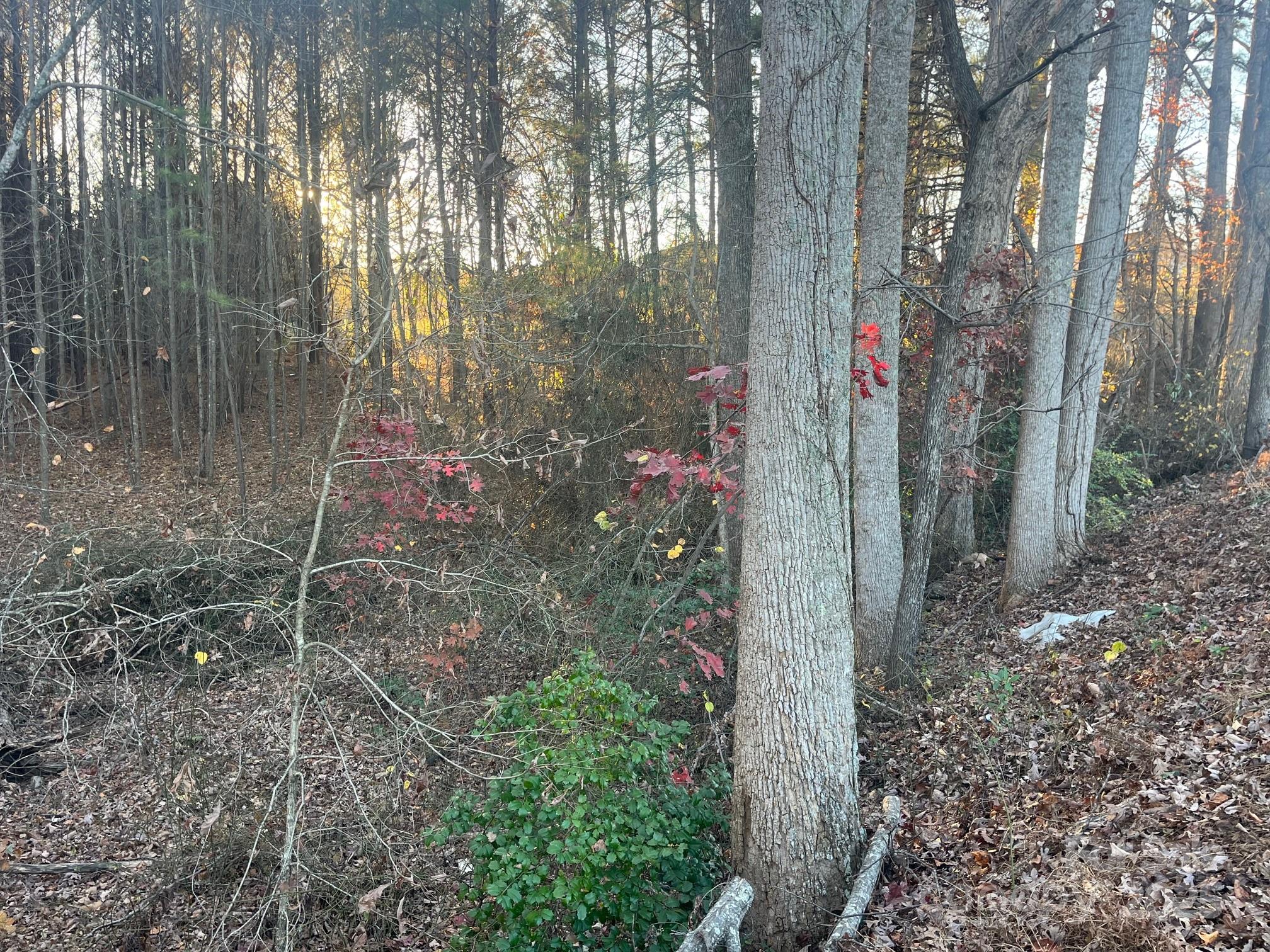 0 Pinnacle Church Road Nebo, NC 28761 - Photo 10 of 10 a backyard of a house with lots of green space