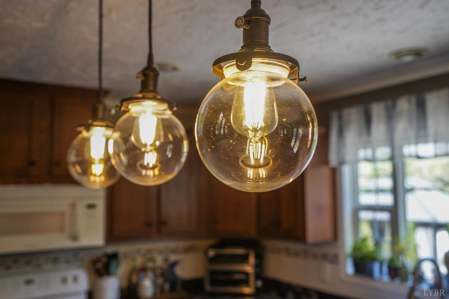 159 Hidden Trail Rustburg, VA 24588 - Photo 17 of 34 a front view of a house with garden