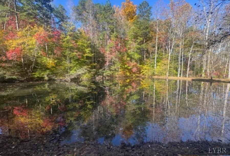 159 Hidden Trail Rustburg, VA 24588 - Photo 34 of 34 a view of a pathway both side of a road