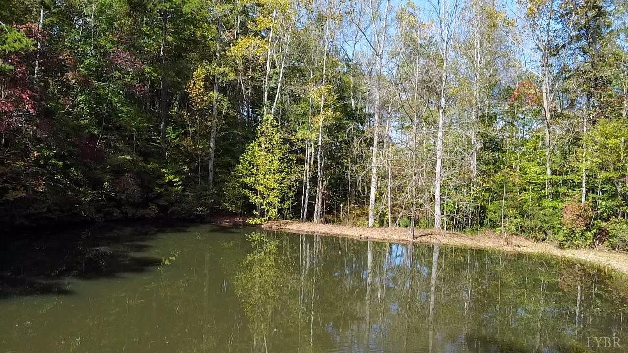 159 Hidden Trail Rustburg, VA 24588 - Photo 8 of 34 a view of a lake with a yard