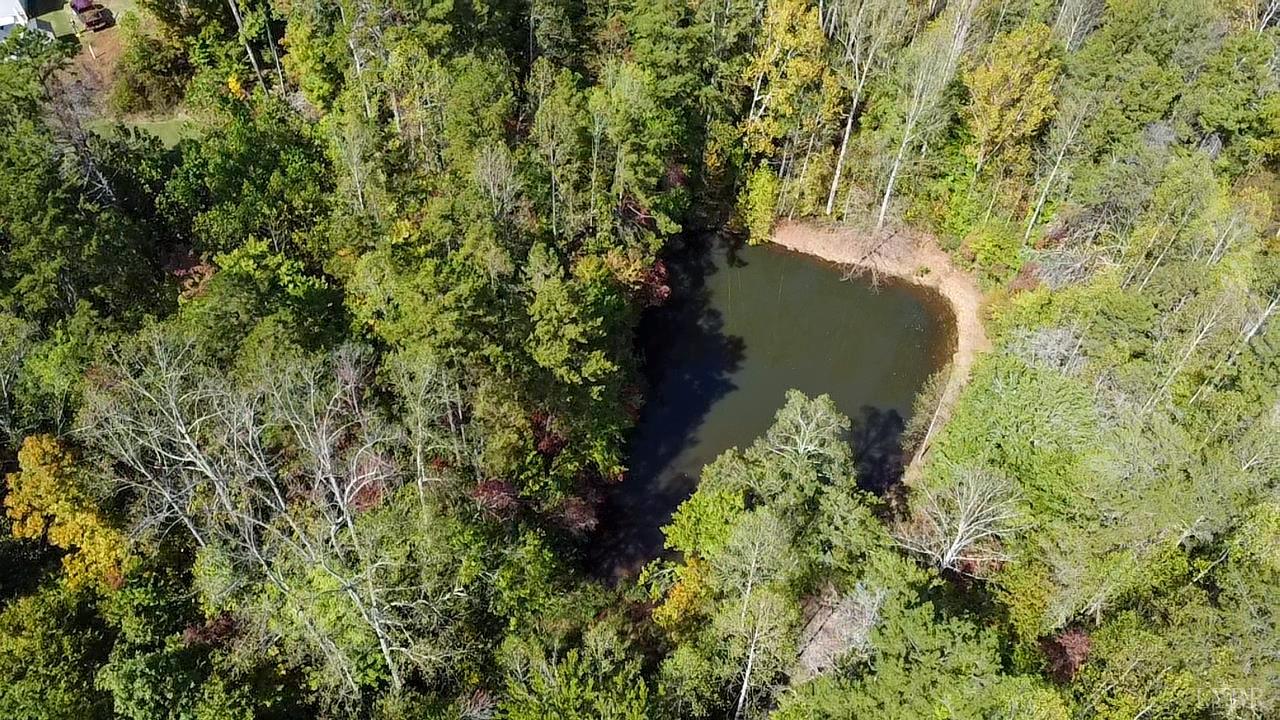 159 Hidden Trail Rustburg, VA 24588 - Photo 9 of 34 a view of a garden with plants