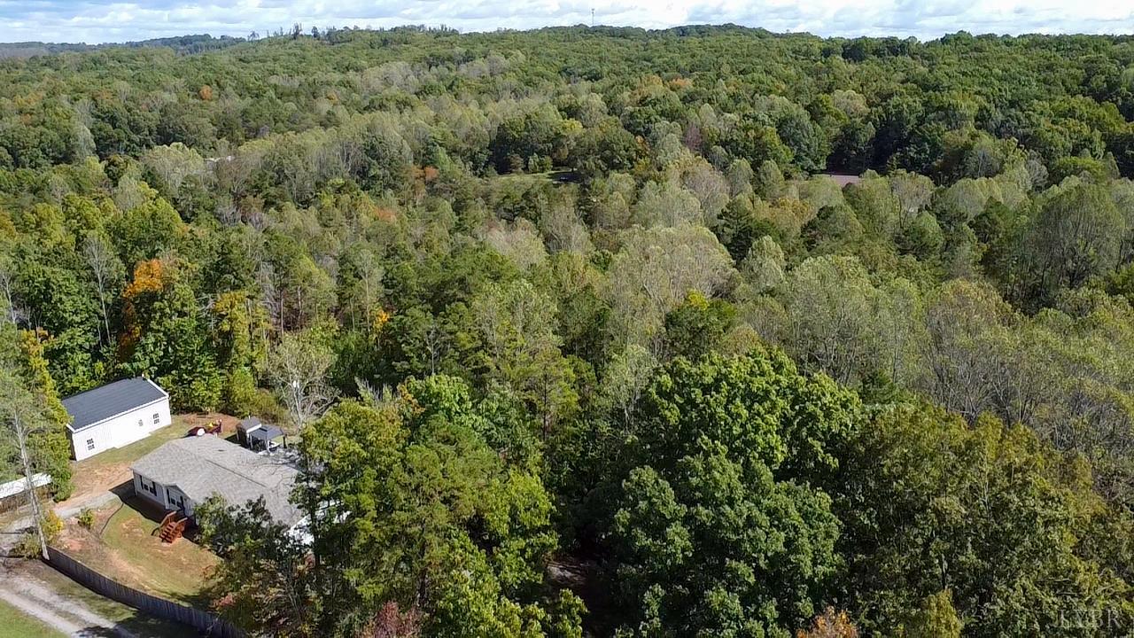 159 Hidden Trail Rustburg, VA 24588 - Photo 10 of 34 a view of a forest with a street