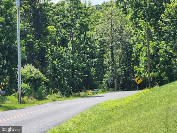 a view of a yard with a trees
