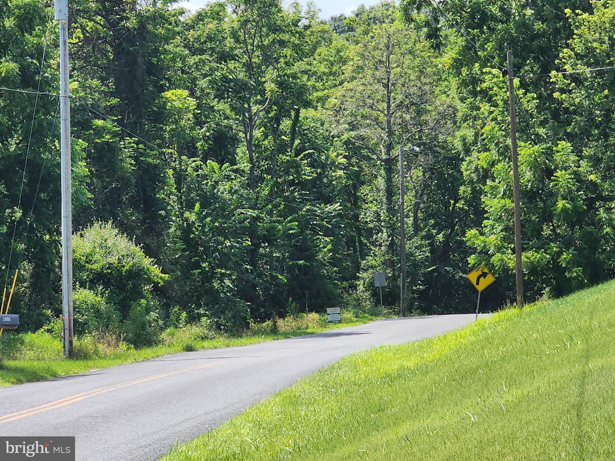 0 Bullfrog Road Fairfield, PA 17320 - Photo 4 of 4 a view of a yard with a trees