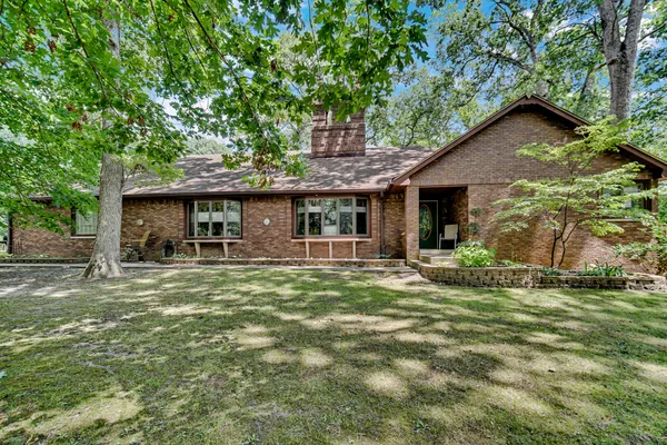 a view of a big yard with plants and large trees