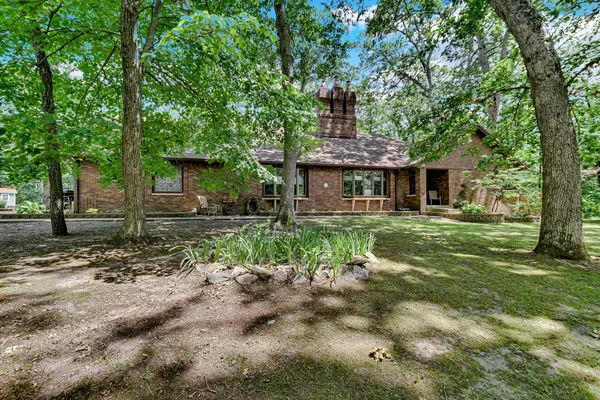 a backyard of a house with plants and large tree