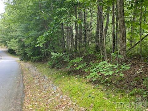Lot 73 Narrows Road Sapphire, NC 28774 - Photo 6 of 22 Gallery Image 6