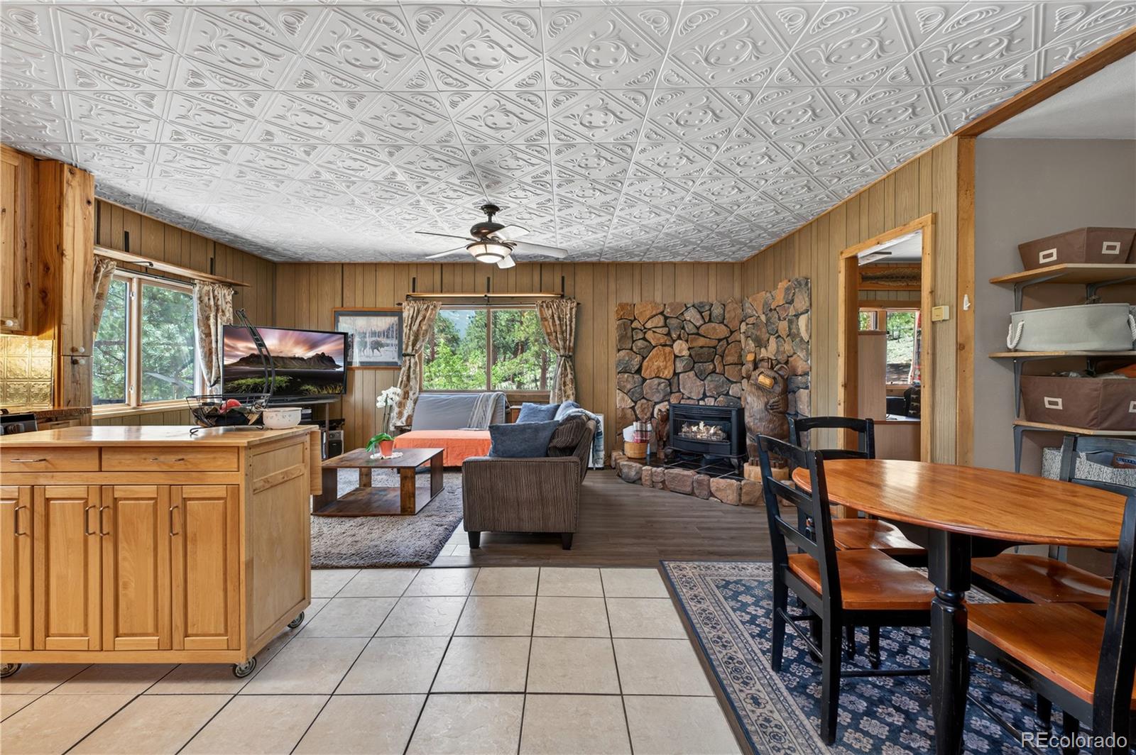 256 Houston Street Bailey, CO 80421 - Photo 11 of 34