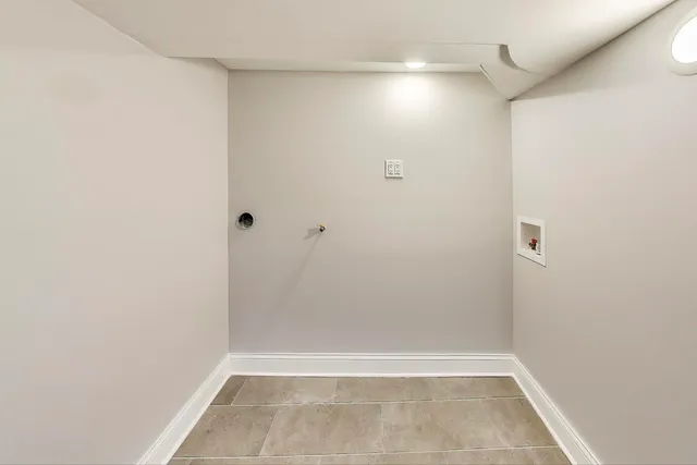 a view of a backyard with plants and a large tree