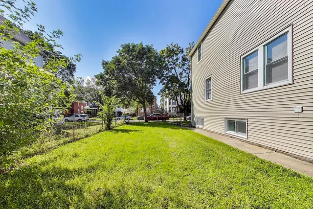 a view of a backyard with plants and large trees