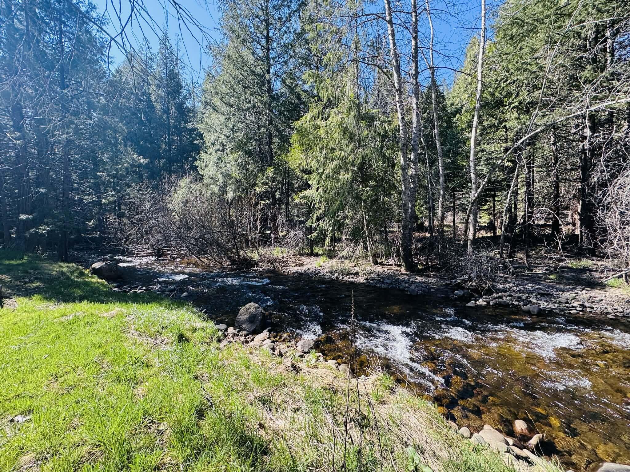 7556 Red Eagle Road Shingletown, CA 96088 - Photo 3 of 39 2222222