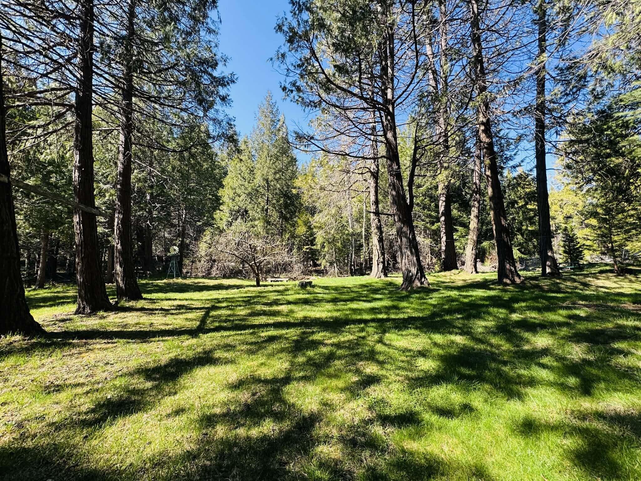 7556 Red Eagle Road Shingletown, CA 96088 - Photo 33 of 39 11