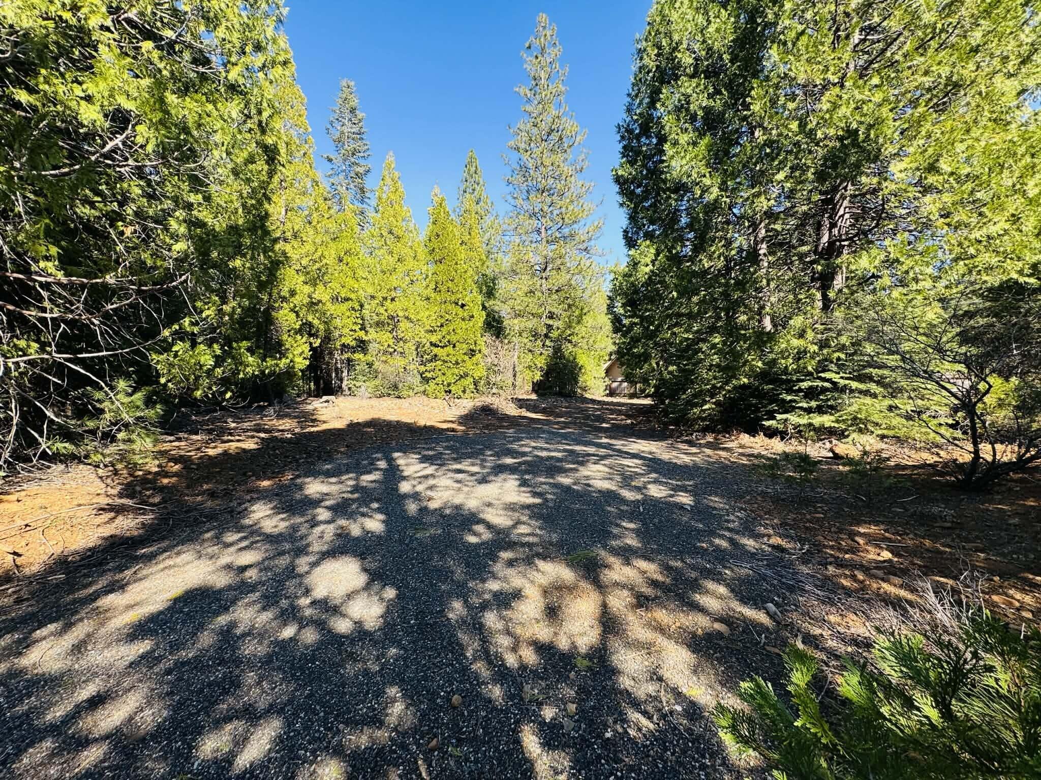 7556 Red Eagle Road Shingletown, CA 96088 - Photo 38 of 39 2