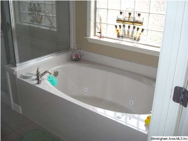 22549 Iron Masters Loop McCalla, AL 35111 - Photo 15 of 23
