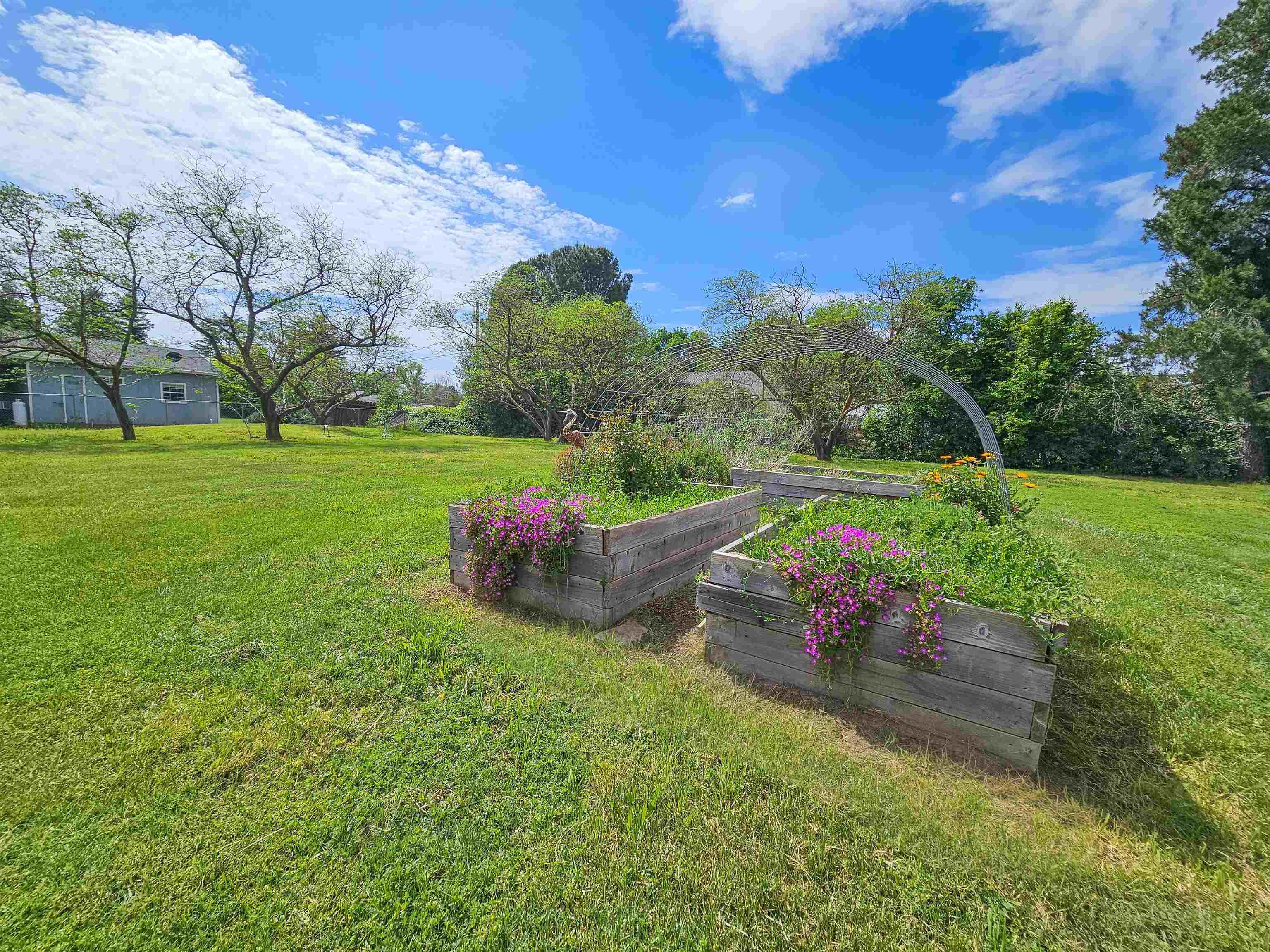 15795 West Wallen Road Red Bluff, CA 96080 - Photo 24 of 41