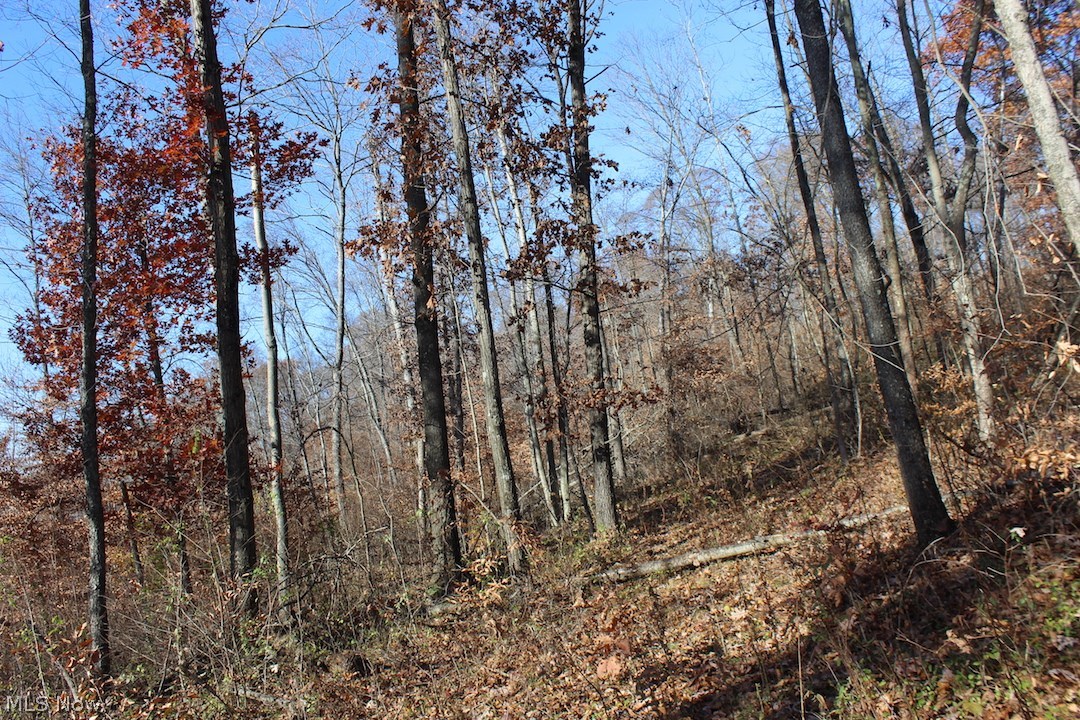 Ford Rd Mount Mount Perry, OH 43760 - Photo 29 of 35