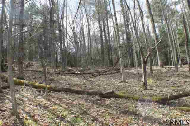 2 Bayview Road Mayfield, NY 12117 - Photo 5 of 6 Photo 5