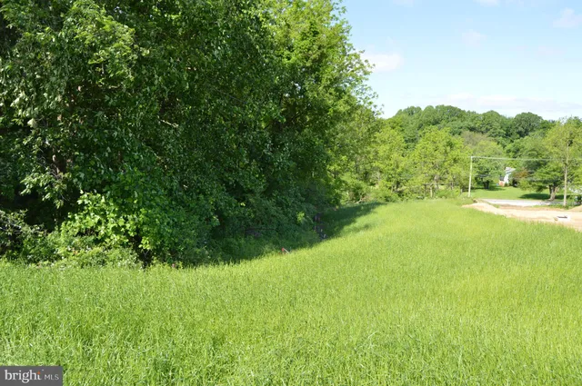 a view of yard with green space
