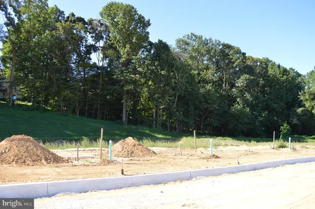 a view of a water fountain in the middle of a yard