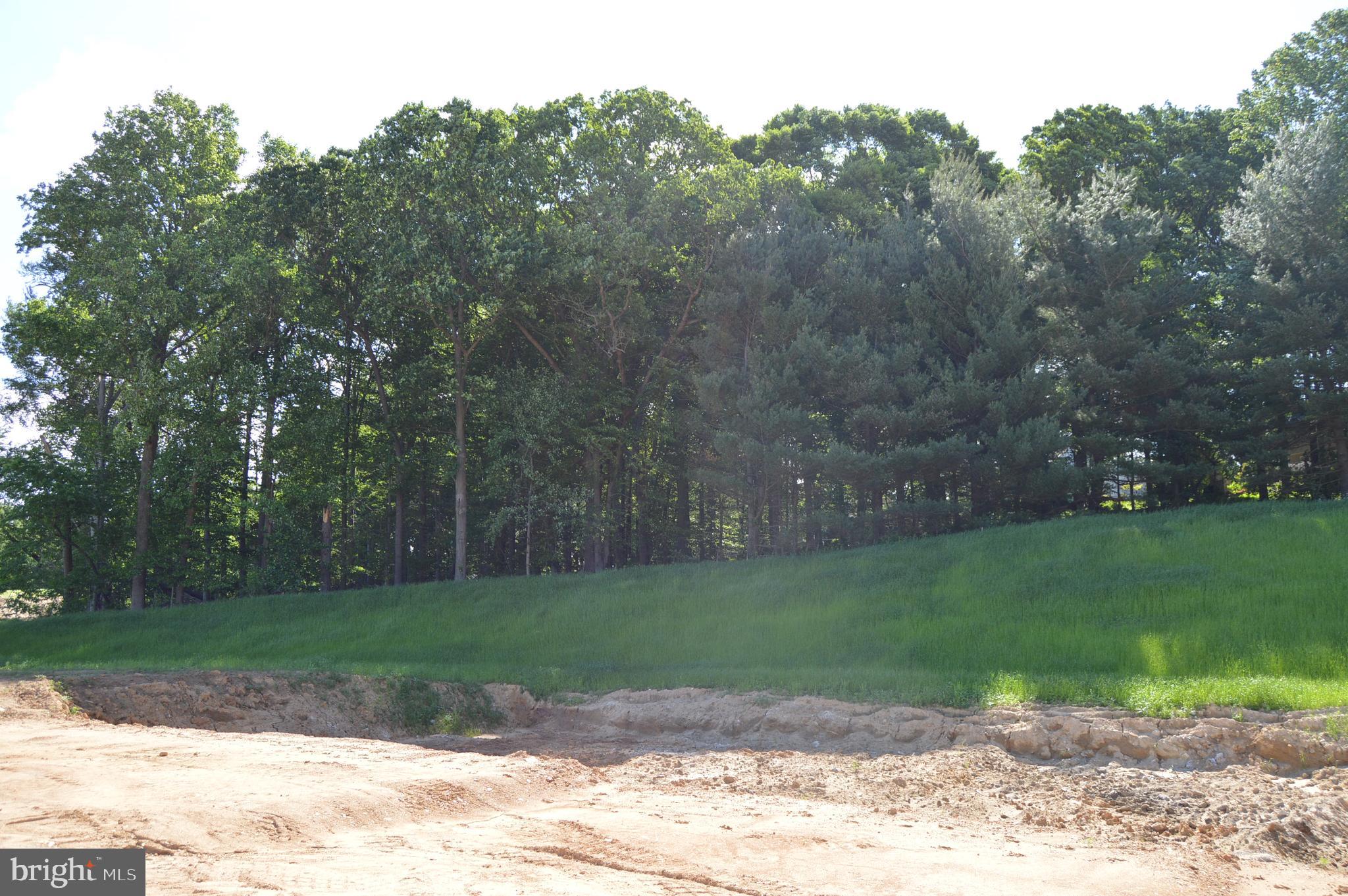 156 Bancroft Road, Unit SUTTON Kennett Square, PA 19348 - Photo 45 of 50 a view of a yard with a tree