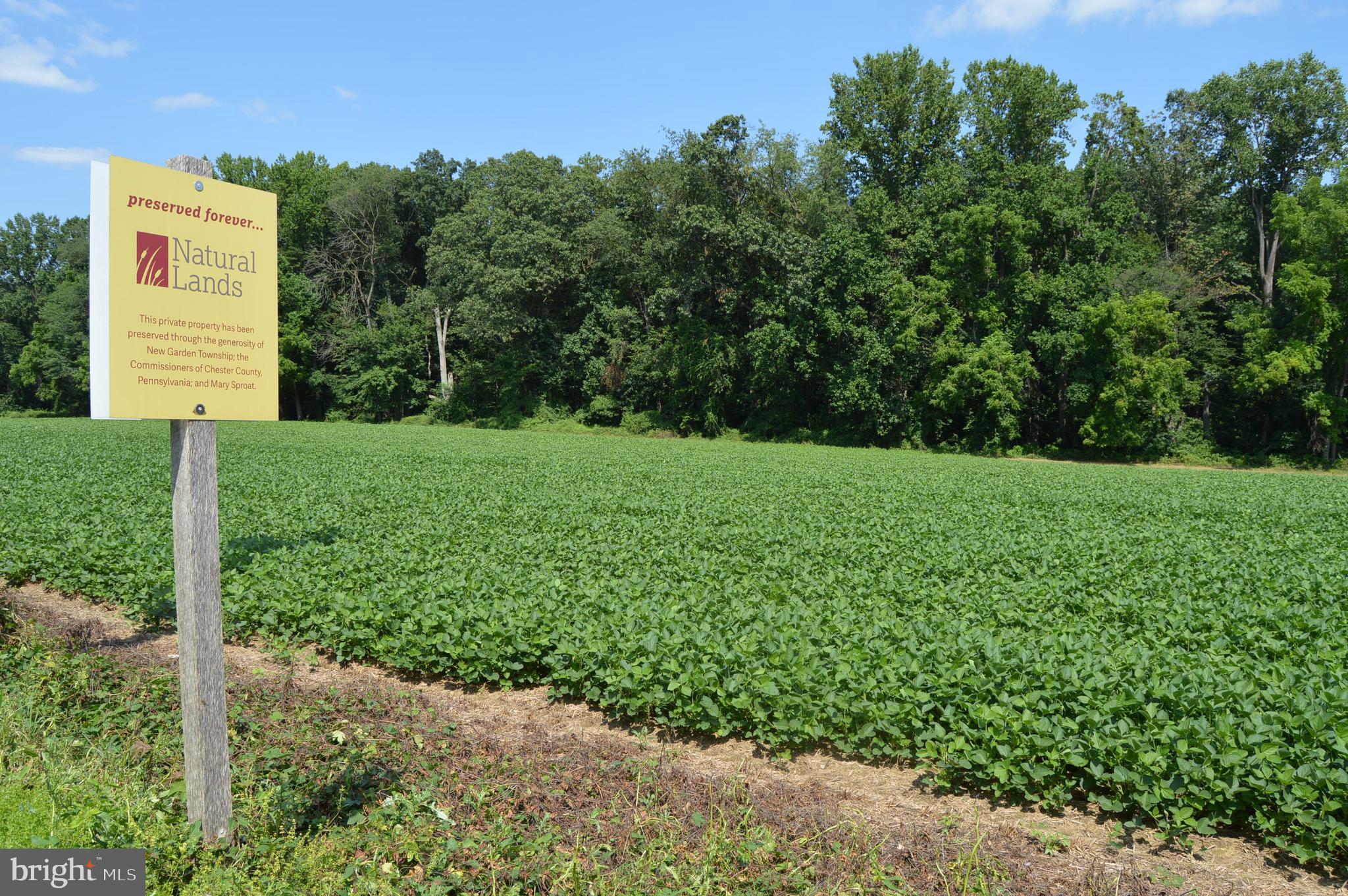 156 Bancroft Road, Unit SUTTON Kennett Square, PA 19348 - Photo 47 of 50 a view of a backyard with a garden