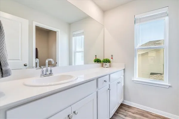 a bathroom with a sink and a mirror