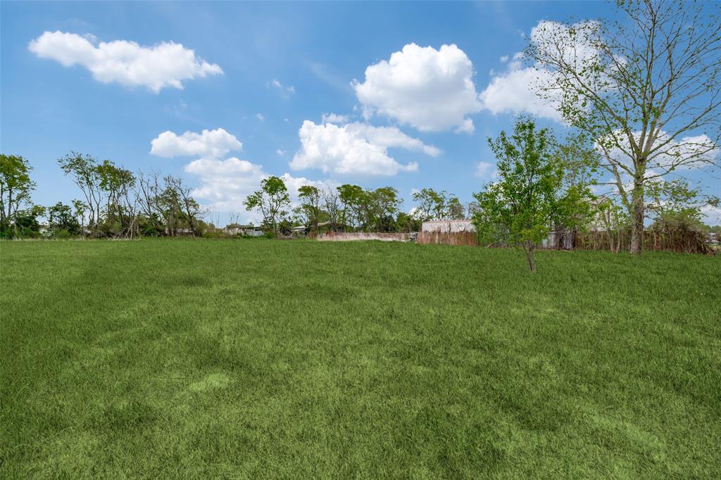 9695 Olive Street Princeton, TX 75407 - Photo 20 of 23 View of yard