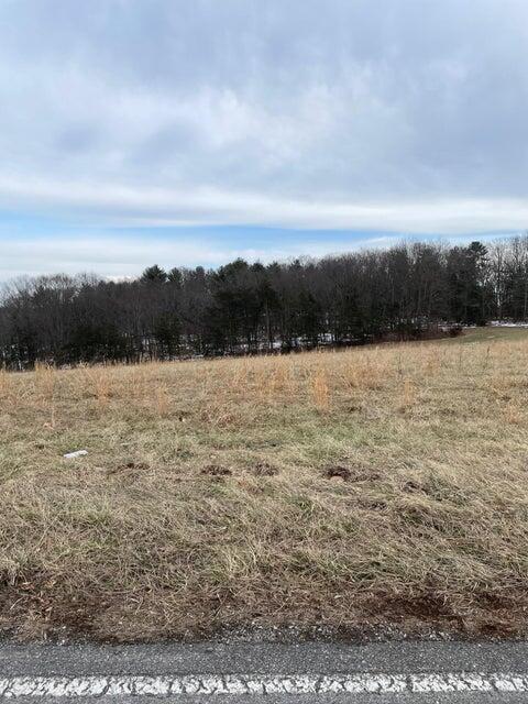 Lot 7 Bonbrook Mill Road Wirtz, VA 24184 - Photo 1 of 2 Lot 7 photo