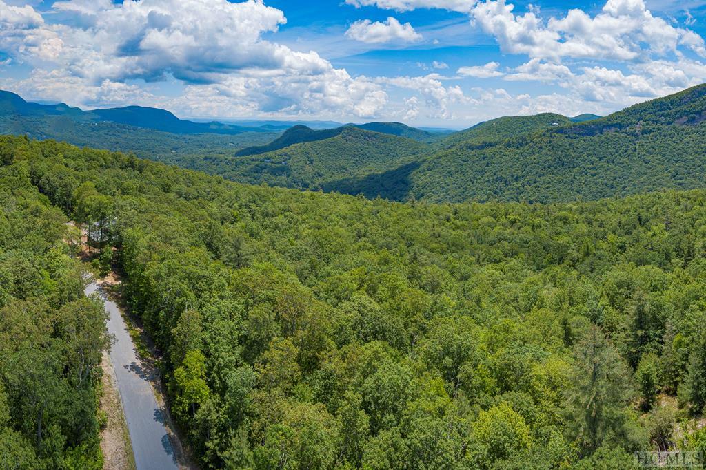0 East Ridge Road Cashiers, NC 28717 - Photo 2 of 11 Gallery Image 2