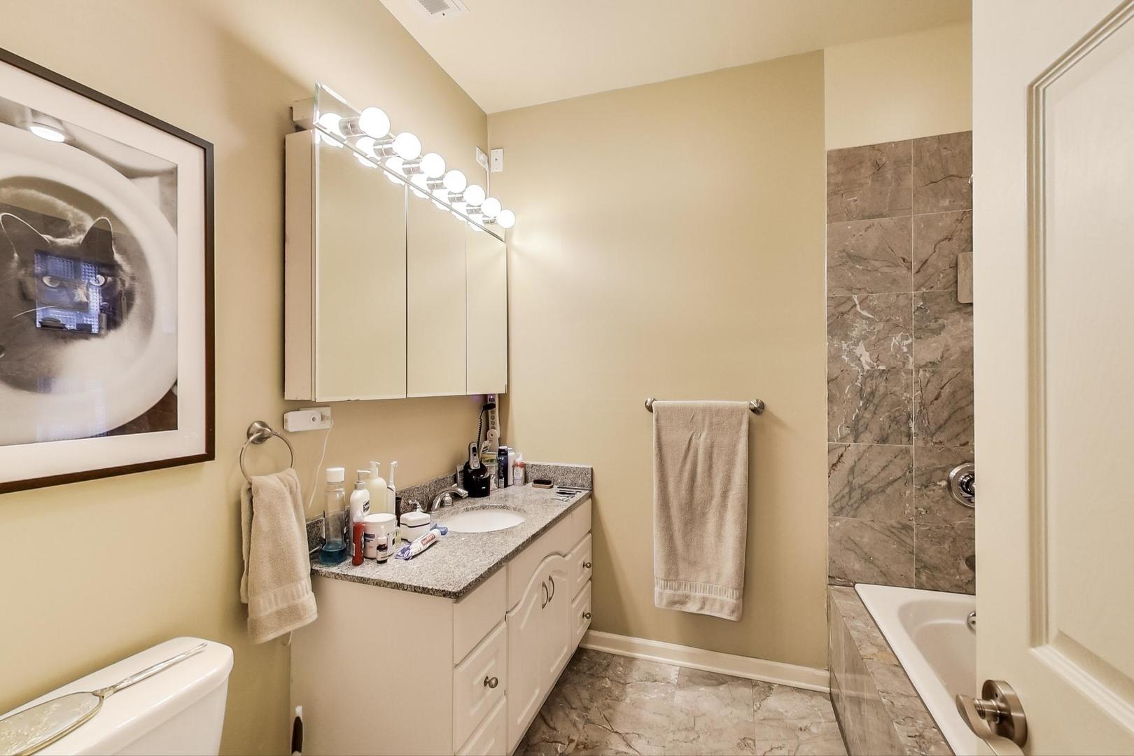 3151 South Racine Avenue, Unit 2 Chicago, IL 60608 - Photo 9 of 20