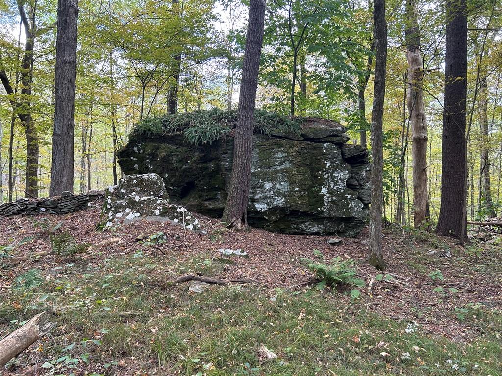 High Falls Road Saugerties, NY 12477 - Photo 1 of 1 View of local wilderness