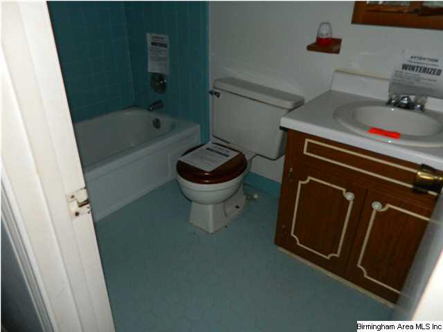 15614 Peace Valley Road Brookwood, AL 35444 - Photo 9 of 9