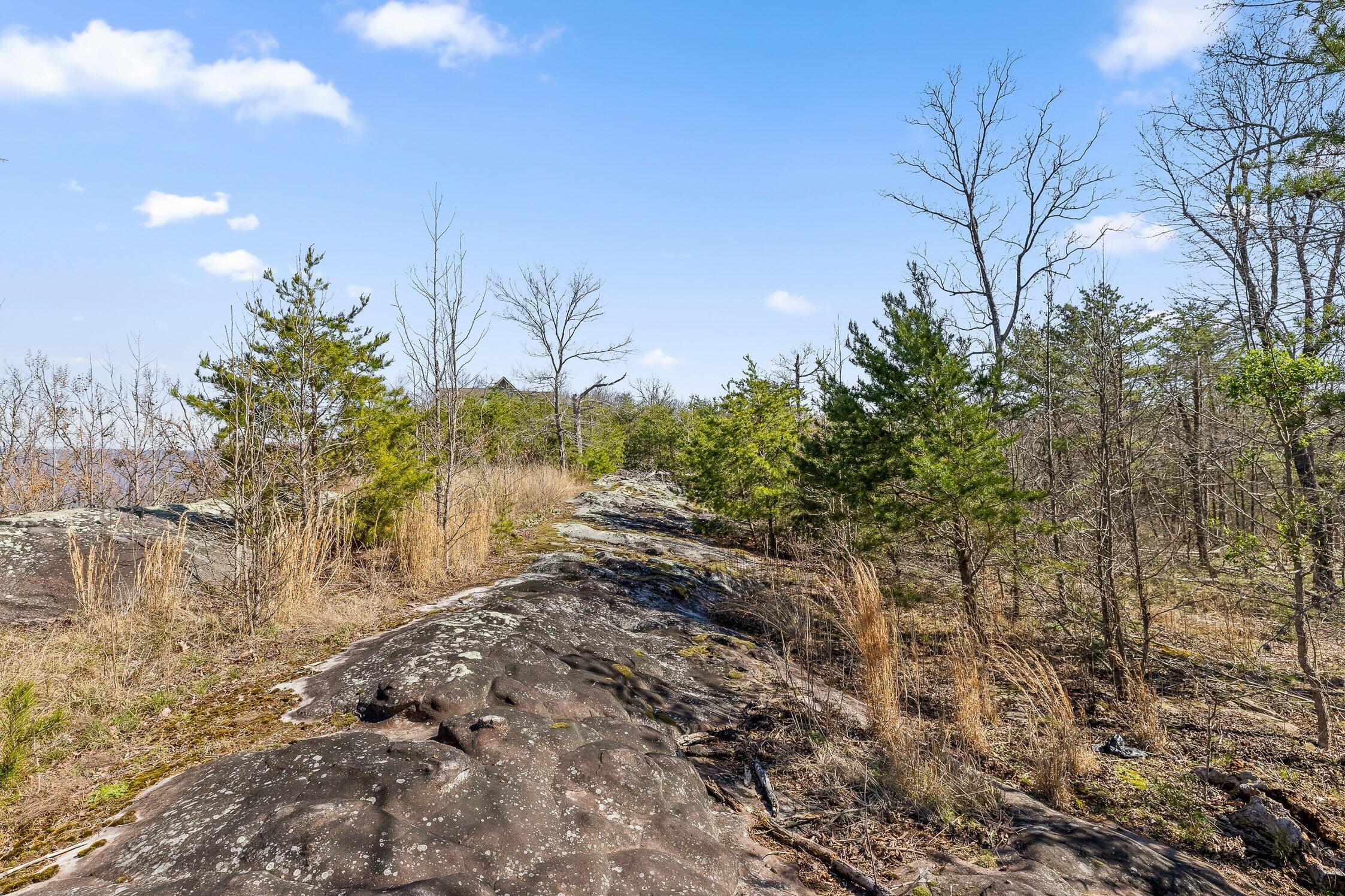 8 West Bluff Road Menlo, GA 30731 - Photo 13 of 32 W Bluff-11