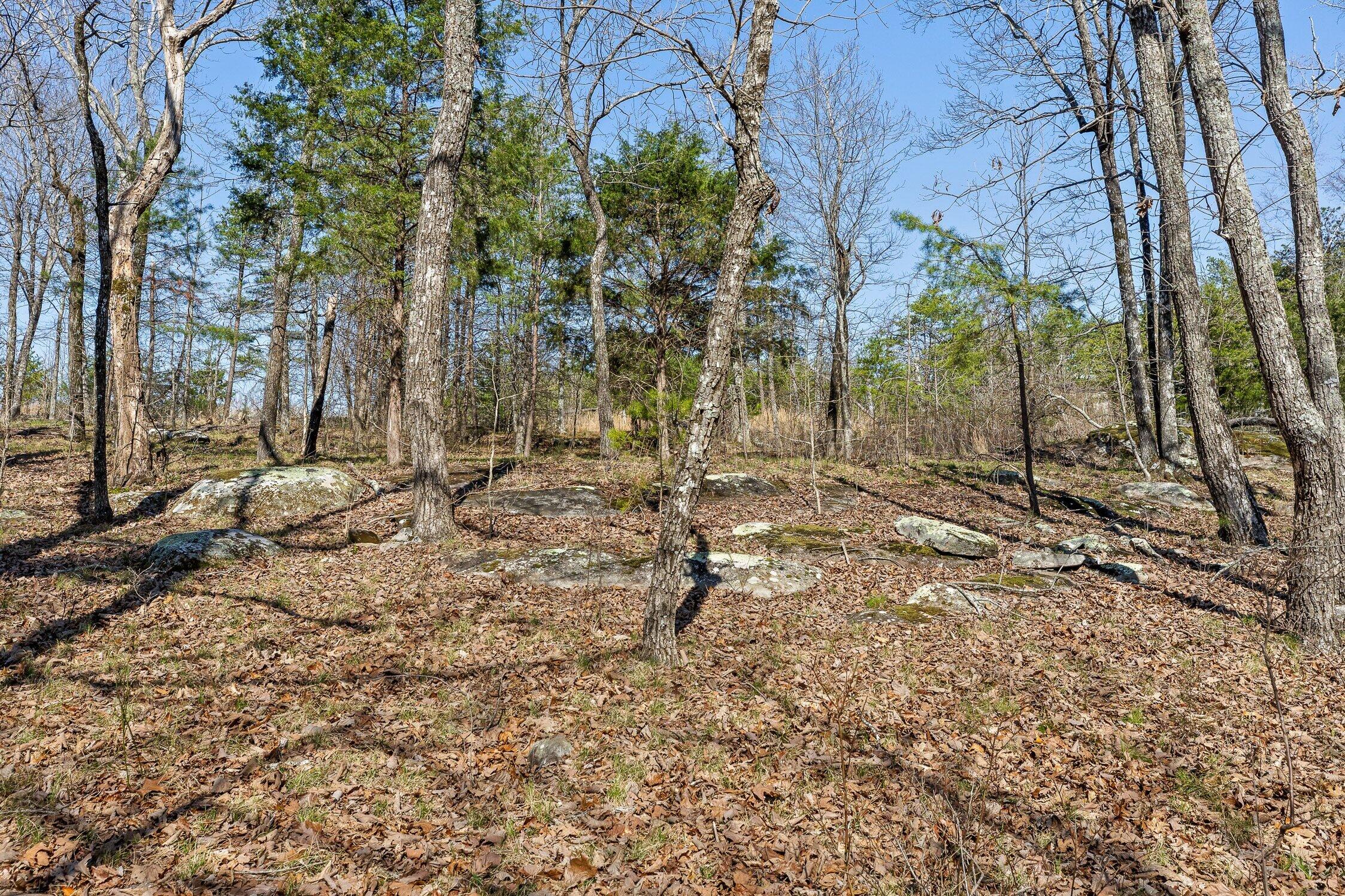 8 West Bluff Road Menlo, GA 30731 - Photo 17 of 32 W Bluff-16