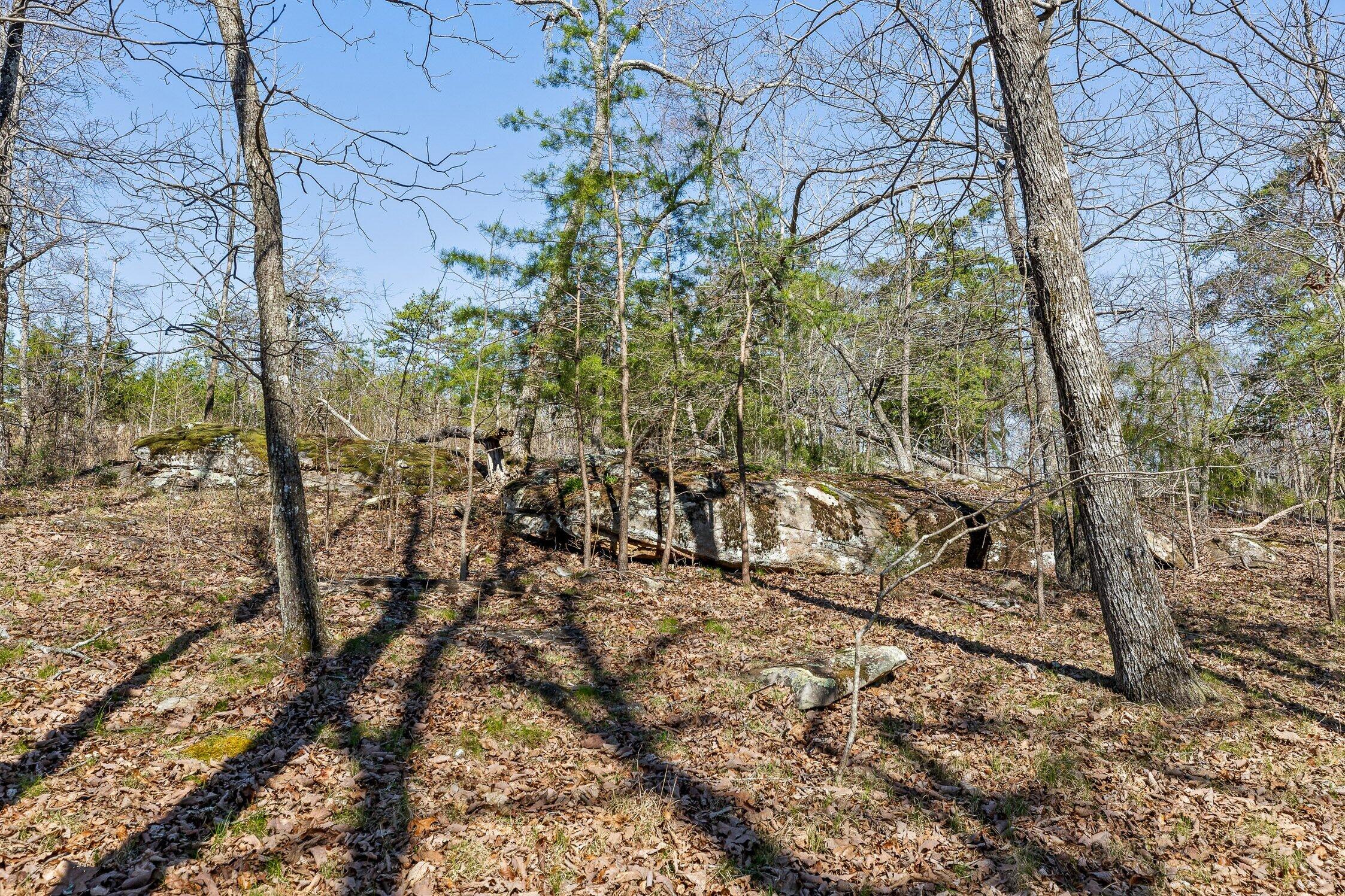 8 West Bluff Road Menlo, GA 30731 - Photo 18 of 32 W Bluff-17