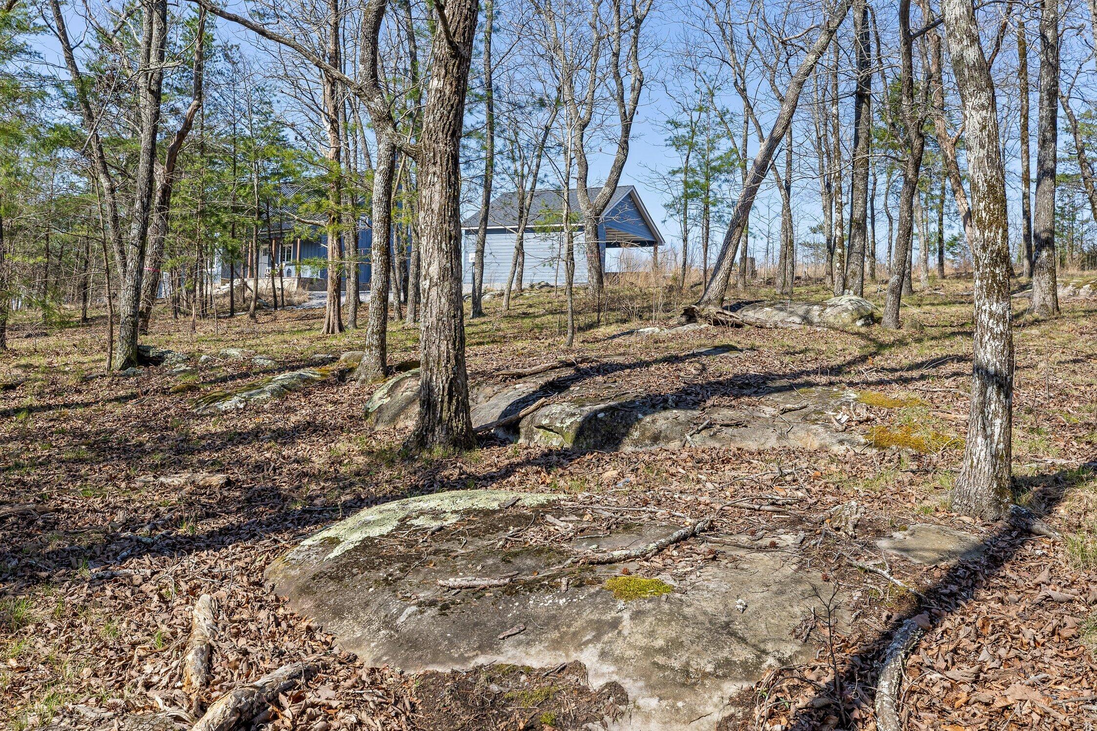8 West Bluff Road Menlo, GA 30731 - Photo 6 of 32 W Bluff-4