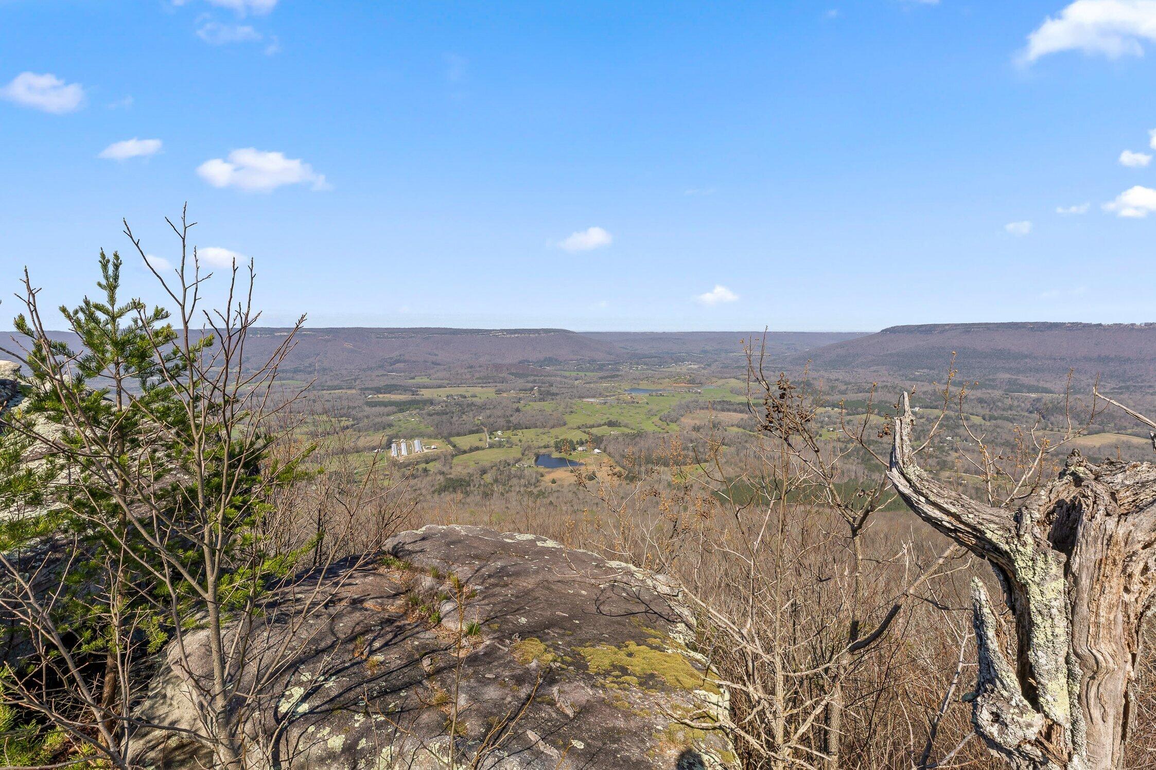 8 West Bluff Road Menlo, GA 30731 - Photo 8 of 32 W Bluff-6