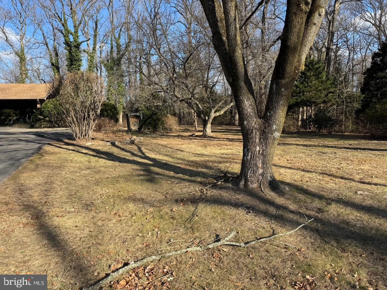 305 Kresson Road Voorhees, NJ 08043 - Photo 2 of 37 a view of a yard with large trees