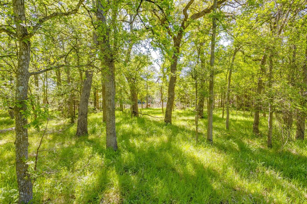 Tbd Teague Road Jacksboro, TX 76458 - Photo 2 of 33