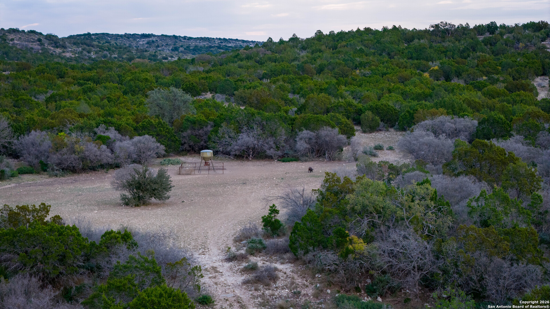 Tbd Us Highway 377 Del Rio, TX 78840 - Photo 11 of 44 a picture of plants and outdoor view