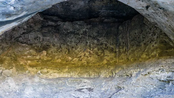 a view of a yard with mountains in the background