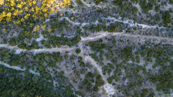 a view of sunset and green space