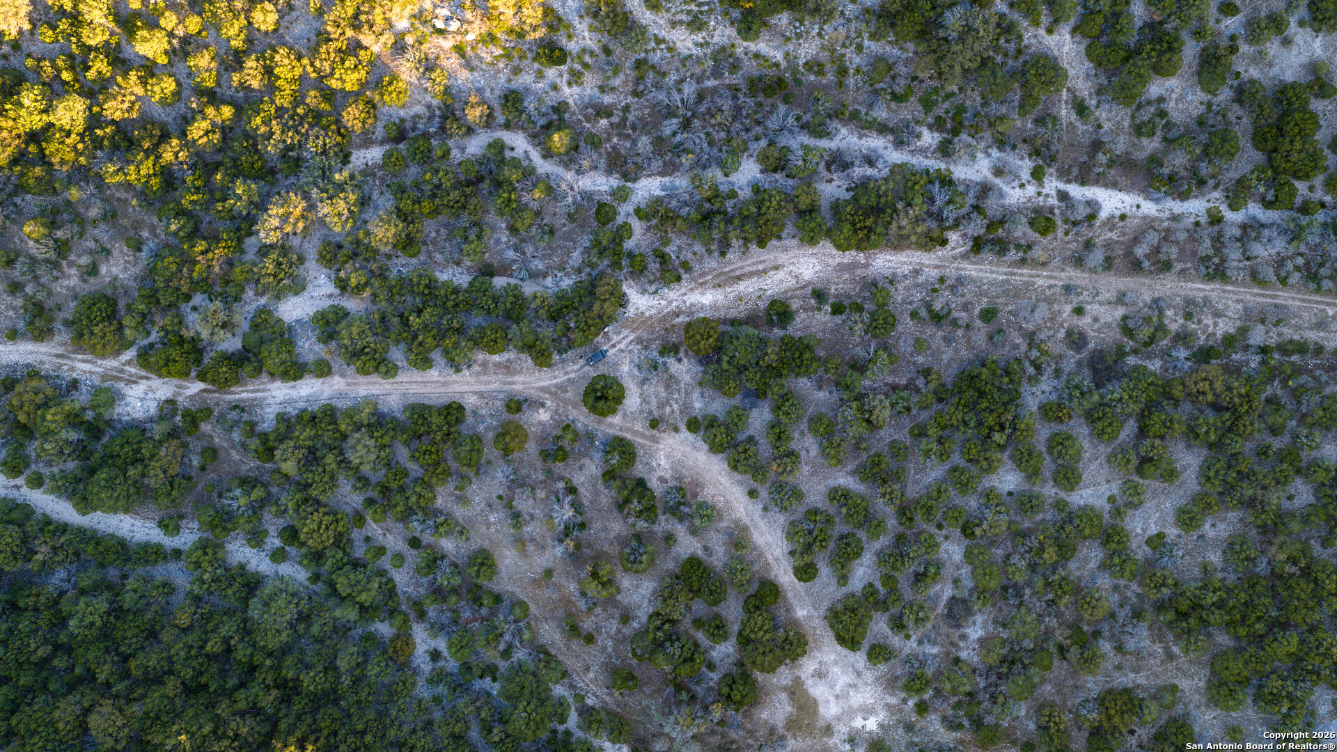 Tbd Us Highway 377 Del Rio, TX 78840 - Photo 39 of 44 a view of a forest with a tree