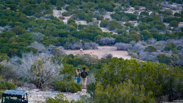 an aerial view of a houses with outdoor space and trees all around