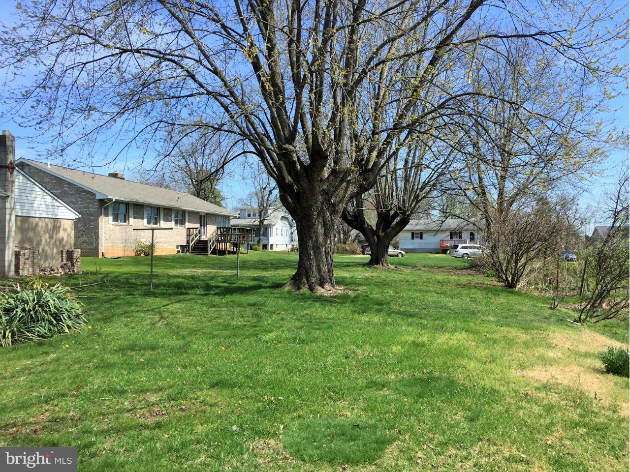 8325 Philadelphia Road Baltimore, MD 21237 - Photo 20 of 22 Back Yard